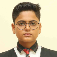 RAJVEER SINGH SISODIYA  
