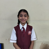 MEHUL SANKHALA  