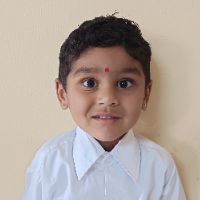 SHIVEK MEENA  
