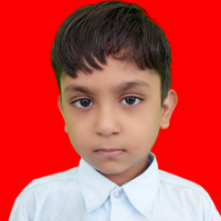 VAIDIK MEENA  