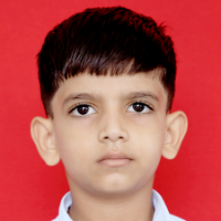 DEV KUMAR MEENA  