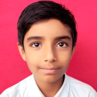 RAJVEER SINGH RAJPUT  
