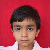 DIVYANSHI SISODIYA  