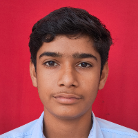 BALRAM MEENA  